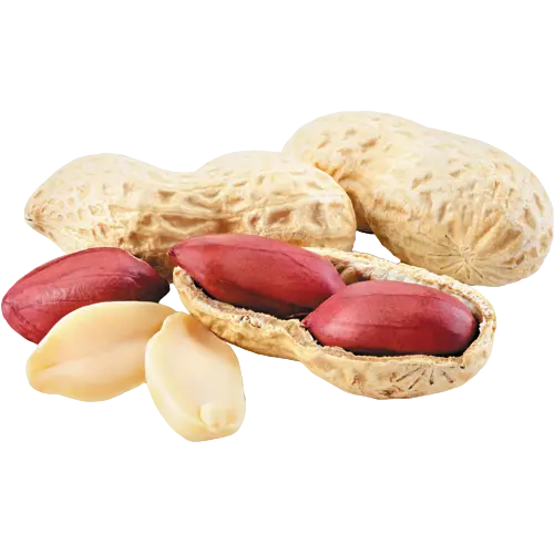 peanut